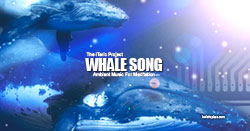 Whale Song CD
